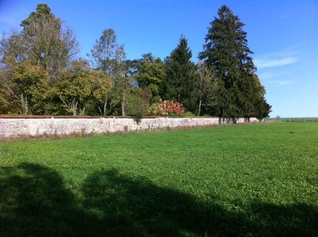 Le Chateau De Conde En Barrois Exterior foto